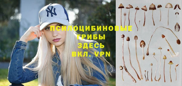 стаф Белоозёрский