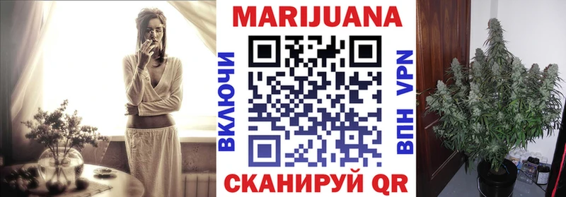 Конопля AK-47  Гатчина 